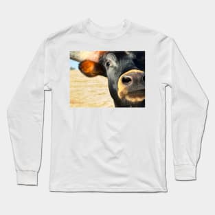 Hello There A Curious Cow Long Sleeve T-Shirt